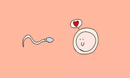 代孕最好医院在哪_想找个女人代孕_邢台市第三医院三代试管取卵时判断卵子质