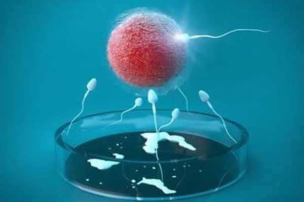 备孕试管促排卵前后有哪些注意事项