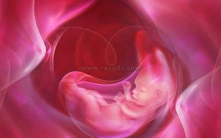 试管婴儿胚胎移植到子宫后几天可以着床