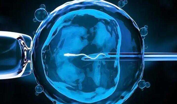 昆明助孕怎么找 2022昆明有可以做供卵试管的正规医院吗？ ‘32周双顶径看男女