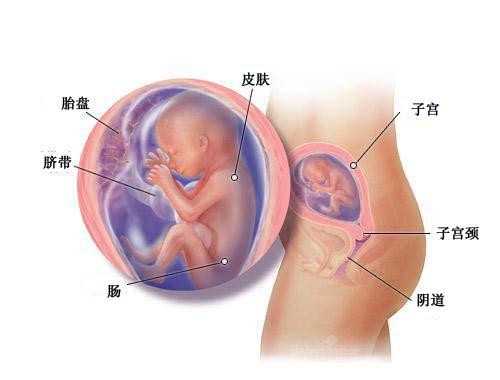 南昌合法供卵医院 南昌纵隔子宫患者做试管医院最新排名。 ‘四维彩超女宝宝